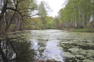 Yasnaya Polyana Pond