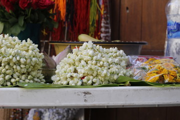 jasmine flower lovely
