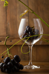 Wine conceptual rustic still life