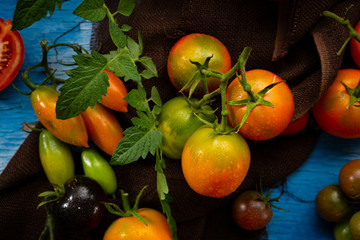 Fototapeta na wymiar Fresh organic tomatoes