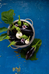 Fresh eggplants in colander