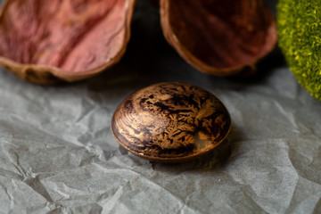 Still life with cocolate bonbons