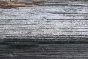 Wooden plank for use as a background, wood texture