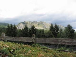 View of the Pania di Corfino mountain from the Orecchiella Nature Park in summer . Lucca, Italy