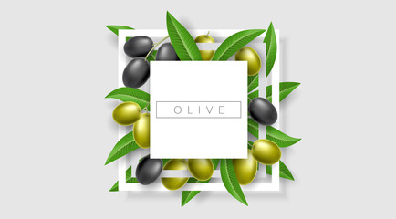 Minimal geometric frame with green and black olive plant and leaf. Vector illustration for mediterranean food design, fresh nature template and background