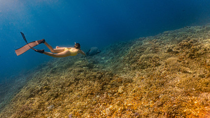 Young female free diver chasing a massive reef fish in a shallow and pristine coral reef system.