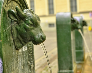 A triptych of drinking water fountains
