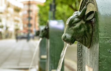 A triptych of drinking water fountains