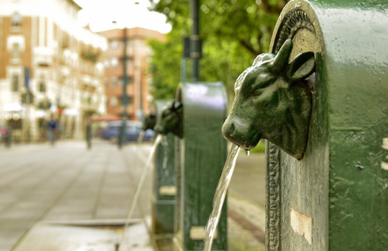A triptych of drinking water fountains