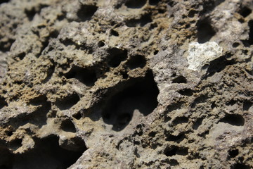 roca