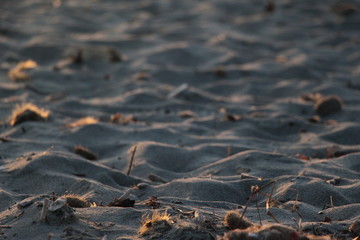 Mare su sabbia