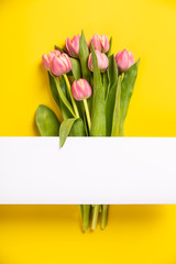 Pink tulips on yellow background, flat lay