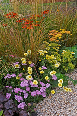 Colourful Mixed planting in a gravel garden with flowers and grasses