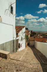 House facade with white walls, door, flower pots and plants at Caceres