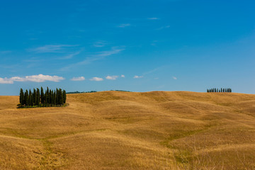 Obraz premium Tuscany landscape