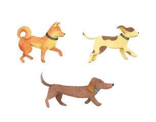 Cute Watercolor dogs. isolated illustration.