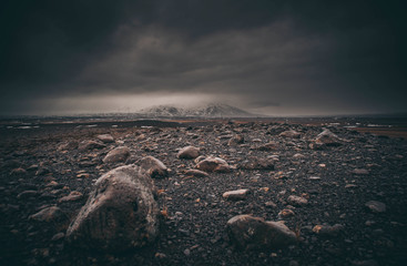The Dark Iceland