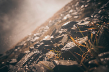 Stones in the Alps