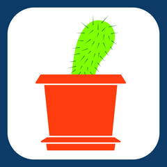 plant icon cactus green potted squared