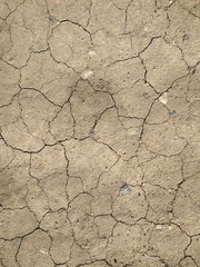 Old dry land with cracks