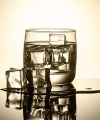 Ice cubes in a glass of water