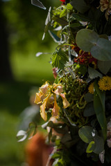  composition of different colors on a blurred green background