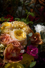 composition of different colors on a blurred green background lit by the sun