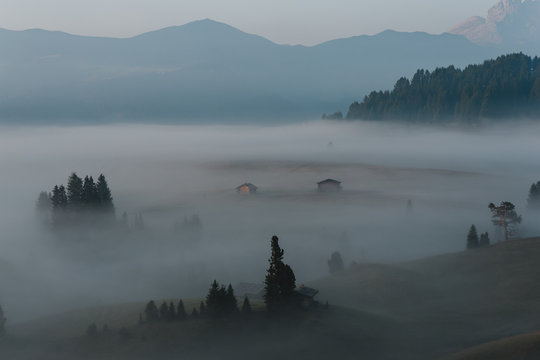 mystery fog over the alpe di siusi in the morning, italy