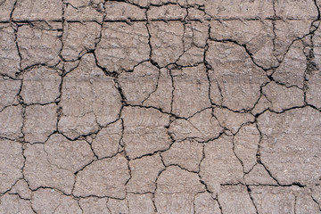 Dried earth covered with cracks