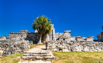 Ancient Mayan ruins at Tulum in Mexico