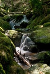 Wasserfall, Schwarzwald