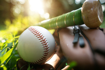 Baseballs, baseball gloves, baseball bats resting on the lawn with the warm light of the setting sun