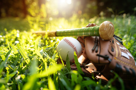 Baseballs, baseball gloves, baseball bats resting on the lawn with the warm light of the setting sun