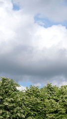 Obraz premium nuages bas