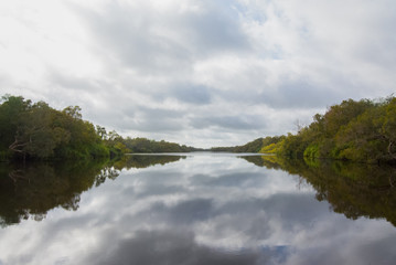 Reflections oon the Yellow Water Billabong