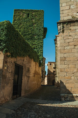 Alley with old stone buildings and creepers at Caceres