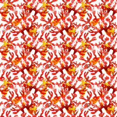 Pattern con coralli isolato su sfondo bianco © sommaria