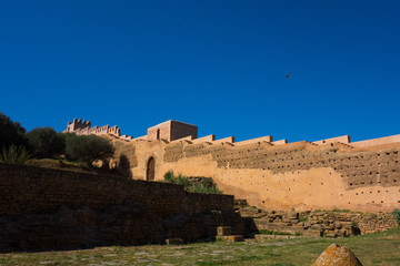 View on the storks in the ruins of the Chellah or Shalla, a medieval fortified Muslim necropolis located in the metro area of Rabat, Morocco