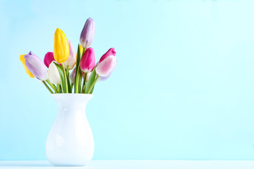Bouquet of tulip flowers in vase on blue background