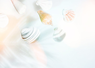 Creative nautical summer concept. Beautiful sea shells of different shapes and colors on pastel gradient blue turquoise peachy pink background with sunlight leaks. Vacation relaxation wellness spa