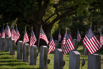 Past Veterans honored with American flag placed at tombstone 