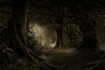 Tropical forest in darkness