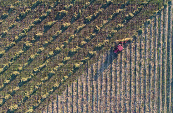 Aerial image of tractor with hay tedders