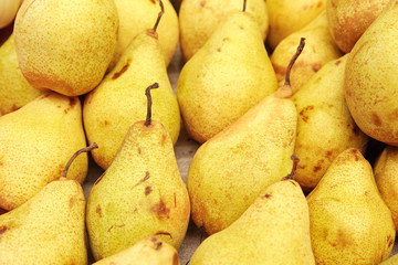 A large group of yellow pears close-up