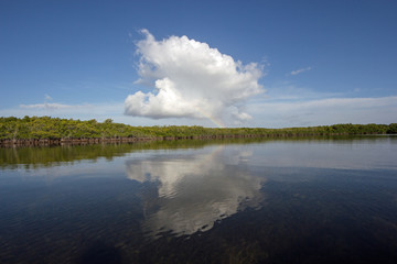 Fototapeta premium Cloudscape and Mangrove coast relfected in the waters of Biscayne National Park, Florida.