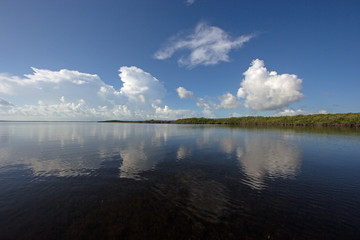 Cloudscape and Mangrove coast relfected in the waters of Biscayne National Park, Florida.