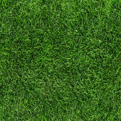 Green grass seamless texture. Seamless in only horizontal dimention. - 270078330