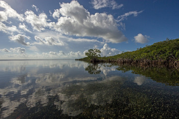 Cloudscape and Mangrove coast relfected in the waters of Biscayne National Park, Florida.