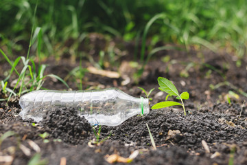 Plastic bottle thrown on the ground next to a sapling – Nature pollution with toxic nondegradable leftover