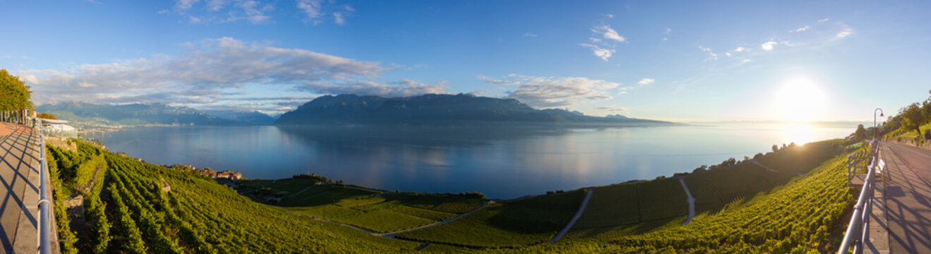 Panorama Sonnenuntergang am Genfer See von Chexbres mit Weinberg zur gelben Stundees